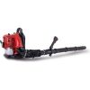 Scheppach Benzin Laubbläser LB5200BP - 51