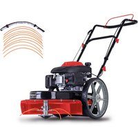 Wiesenmäher HMP161-56 Scheppach - 4