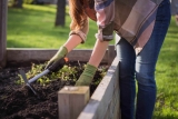 Garten Werkzeug – Welches Werkzeug zum Unkraut jäten?